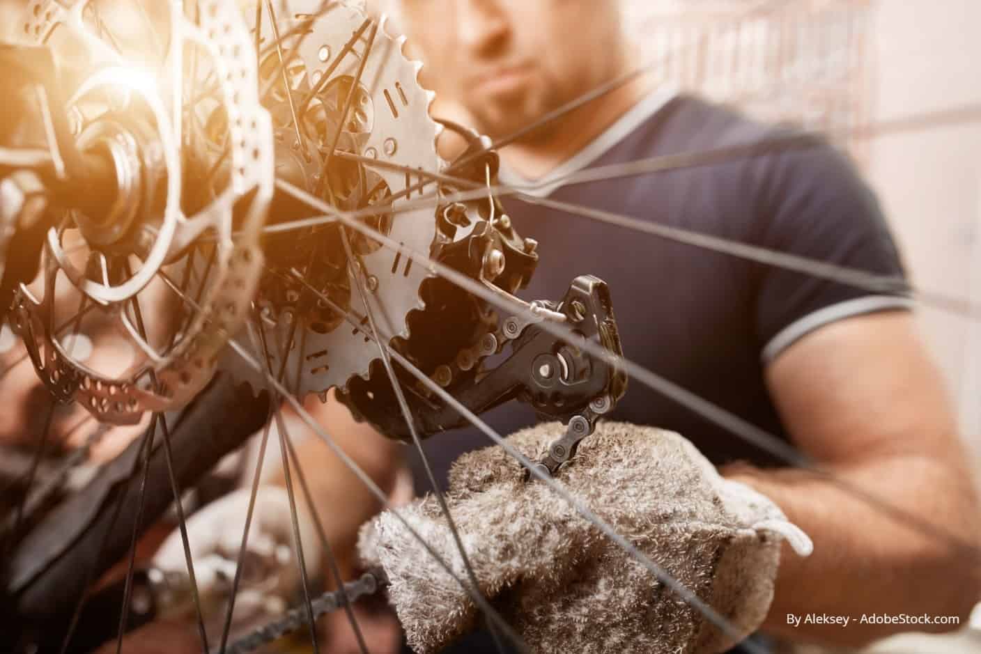 by aleksey adobestock.com