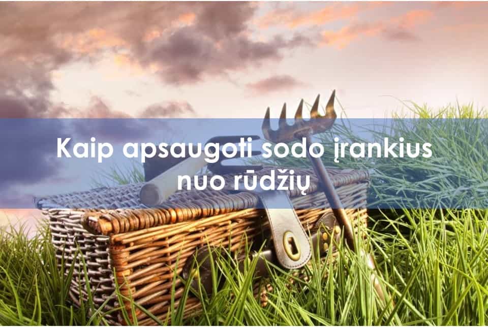 kaip apsaugoti sodo irankius nuo rudziu